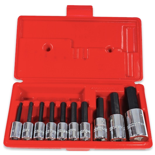 3/8 in. & 1/2 in. Drive Metric Hex Bit Set (10 pc.)