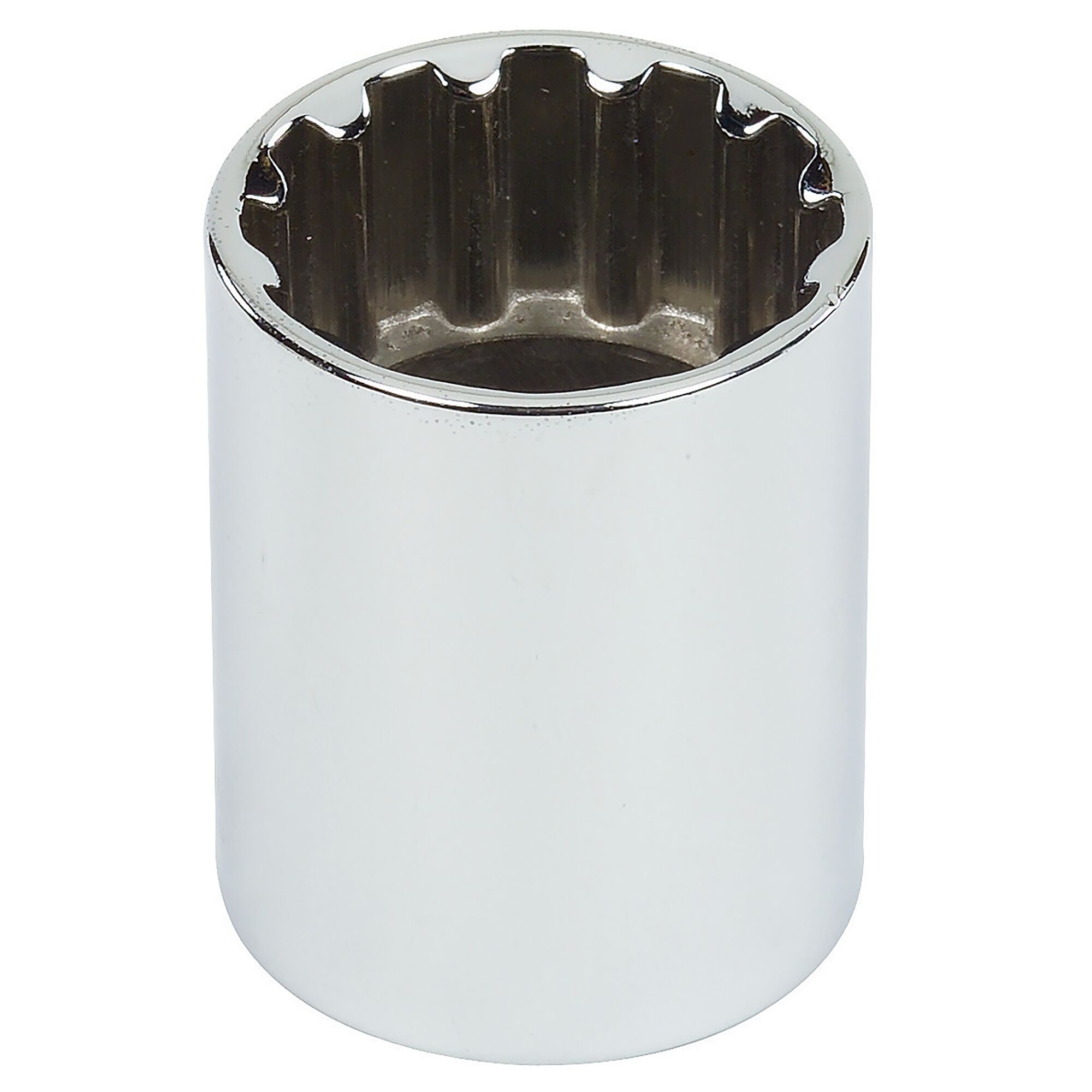 1/2 in. Drive 1/2 in. #16 Spline Socket | PROTO