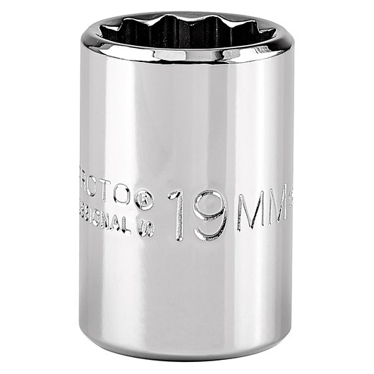 PROTO J5419M chrome 19mm socket, cylindrical hand tool, front angle on white background.