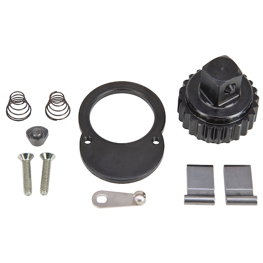 PROTO J5649RK ratchet repair kit parts laid out on white background, including gear, springs, and screws.